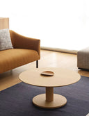 Akela Coffee Table