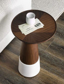LANI Coffee Table and Side Table
