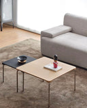 Hoku Coffee Table and Side Table