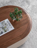 Kainoa Walnut Coffee Table